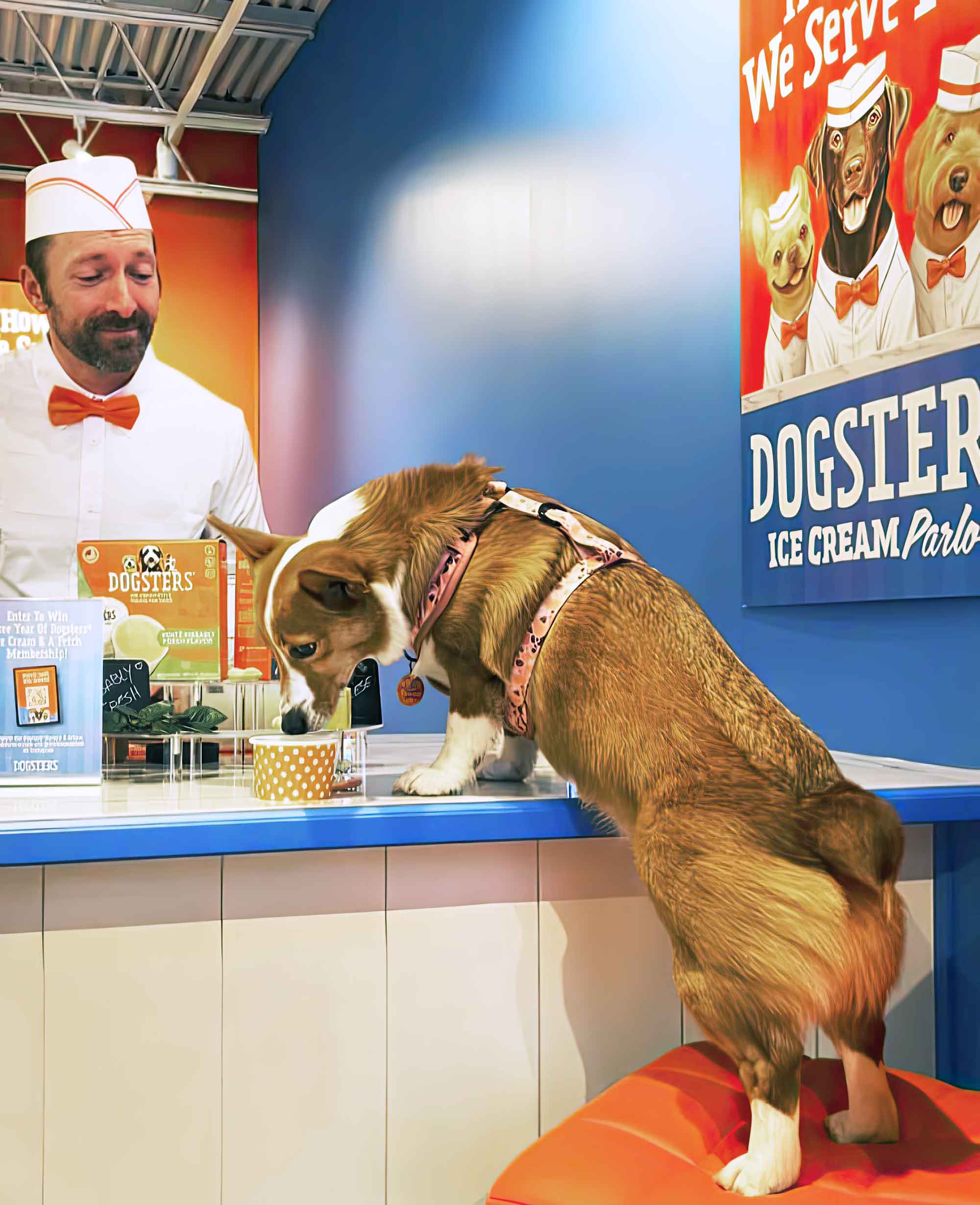 Dogsters Ice Cream Parlor for dogs